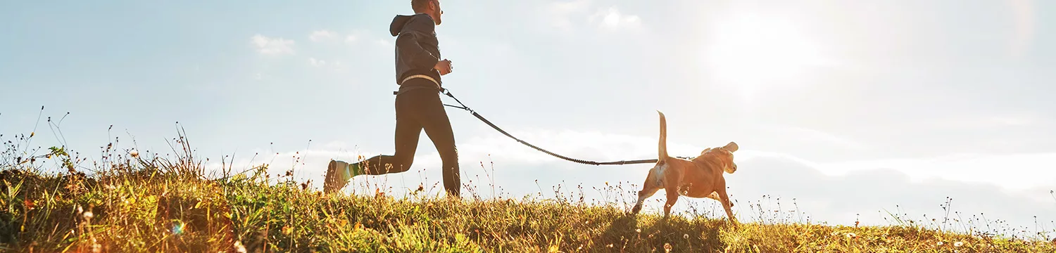 Supercharge-Cells-Dog-Run