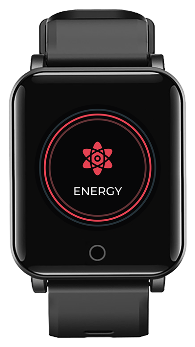 NIKKI Energy Program