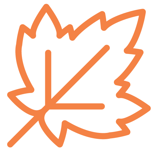 Fall Program
