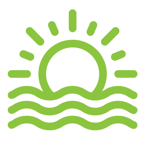 Summer Program